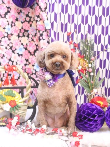 20250121くぅくん